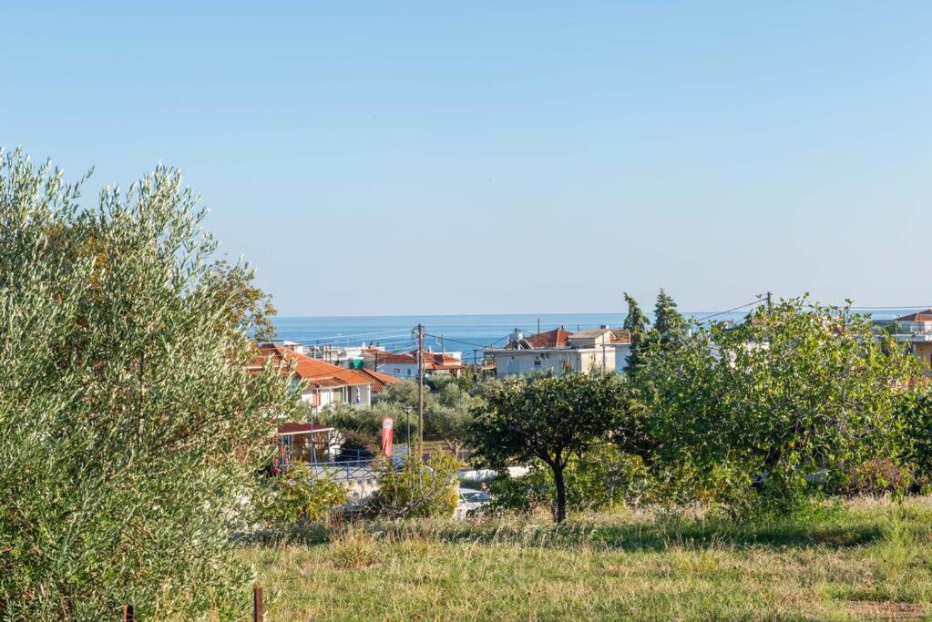 Όμορφο Παραθασυγκρότημα Ενοικιαζόμενων Καταλυμάτων Ως Ολόκληρος Χώρος - Chrani, Ελλάδαλάσσιο Διαμέρισμα Екстериор снимка